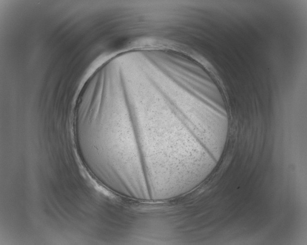 X0000080741486200701051131