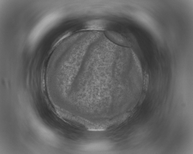 X0000080741487200701051131