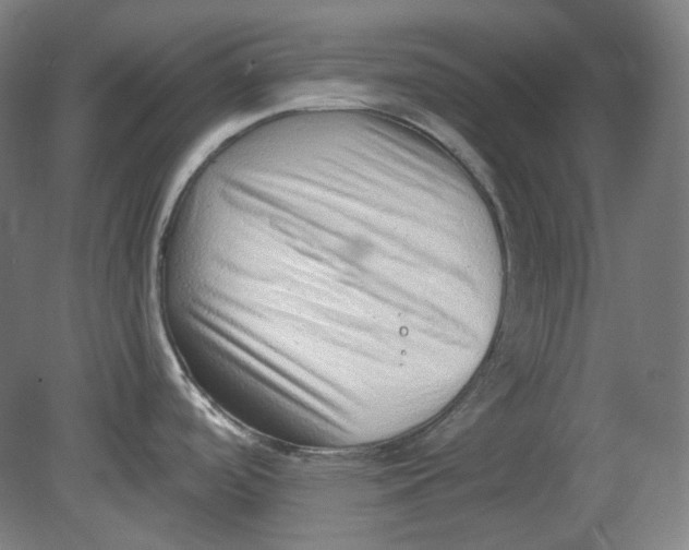 X0000080741488200701051131