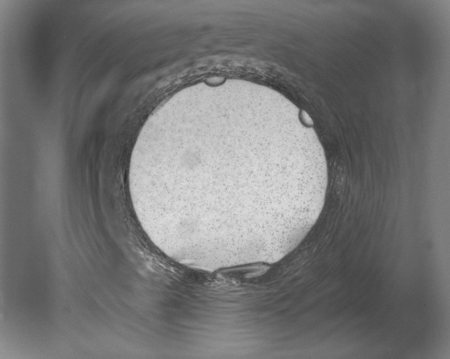 X0000080741489200701051131