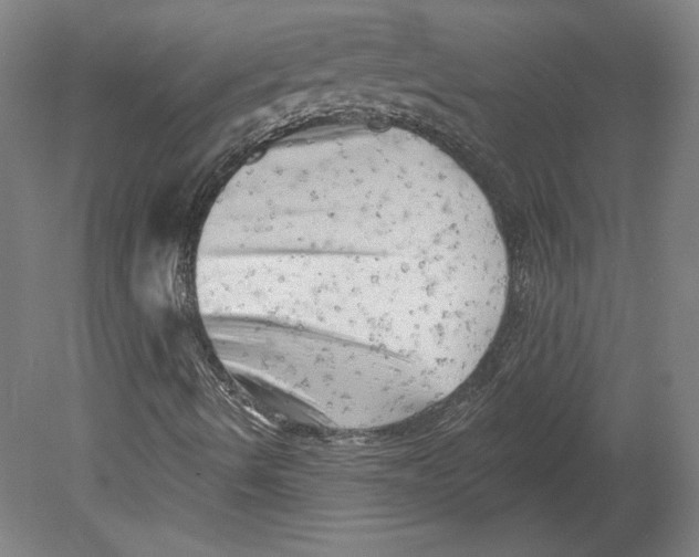 X0000080741490200701051131