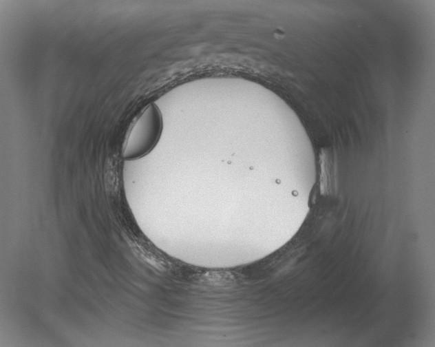 X0000080741491200701051131