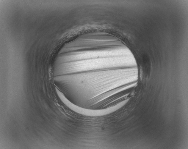 X0000080741492200701051131