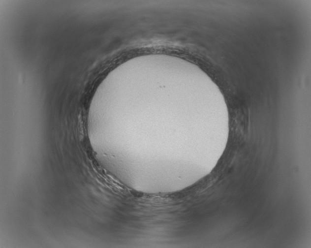 X0000080741493200701051131