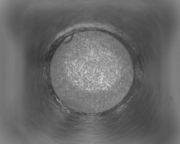 X0000080741494200701051131