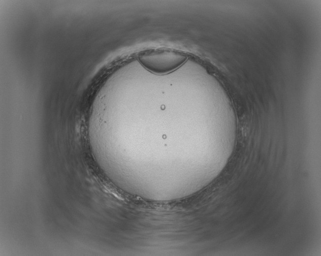 X0000080741495200701051131