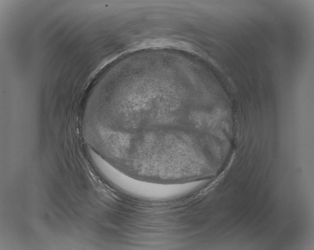 X0000080741497200701051131