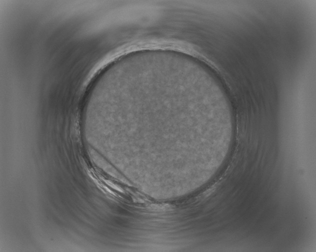 X0000080741498200701051131