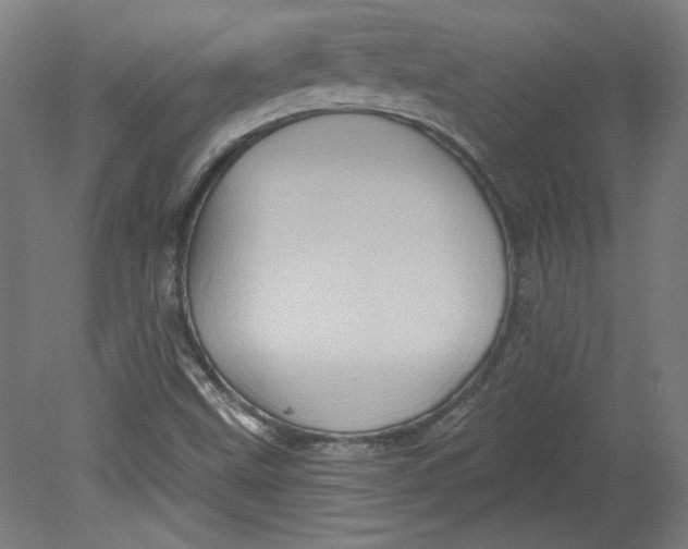 X0000080741499200701051131