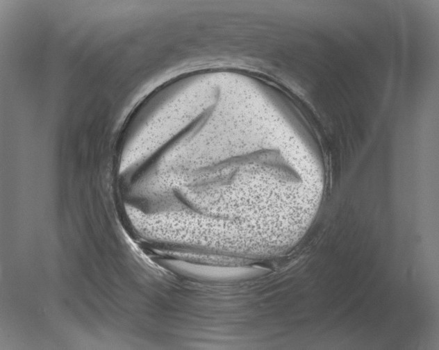 X0000080741500200701051131