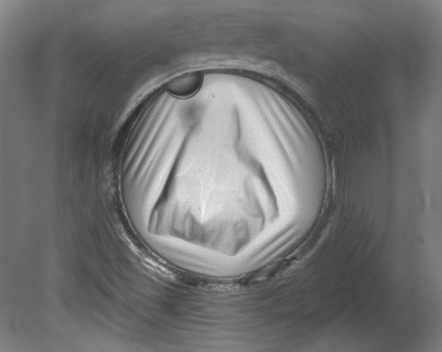 X0000080741501200701051131