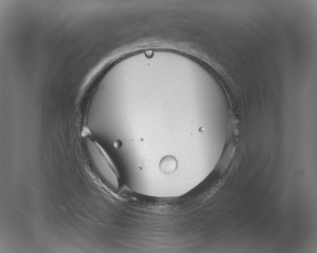 X0000080741502200701051131