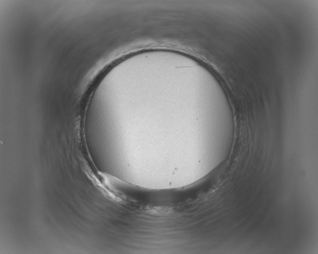 X0000080741503200701051131