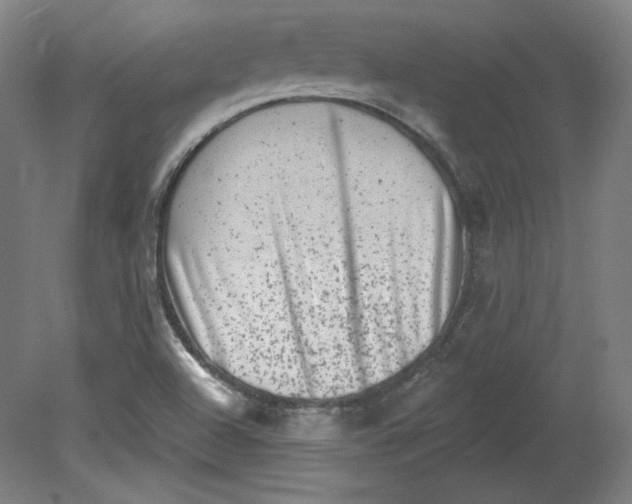 X0000080741504200701051131