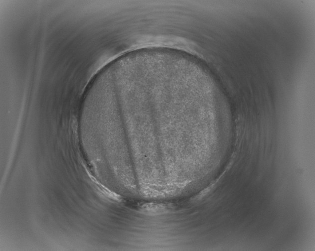 X0000080741505200701051131