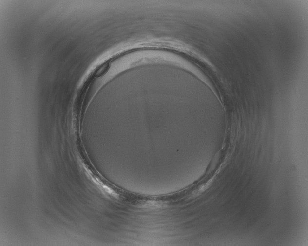 X0000080741506200701051131