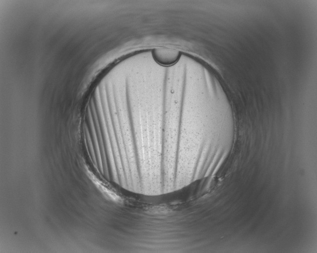 X0000080741507200701051131