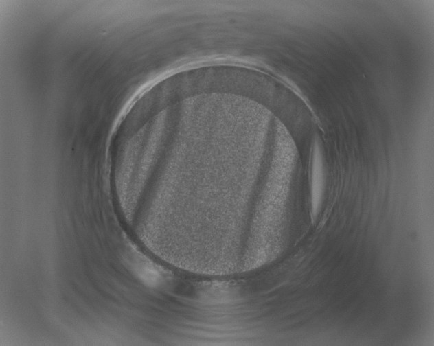 X0000080741508200701051131