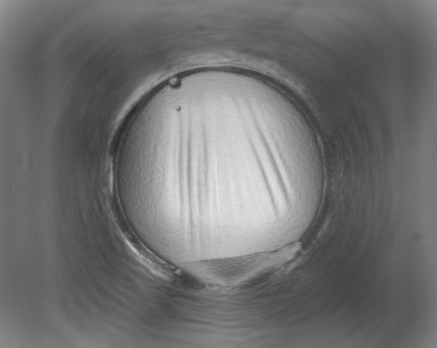 X0000080741509200701051131