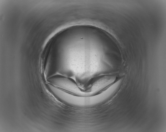 X0000080741510200701051131