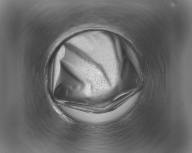 X0000080741511200701051131