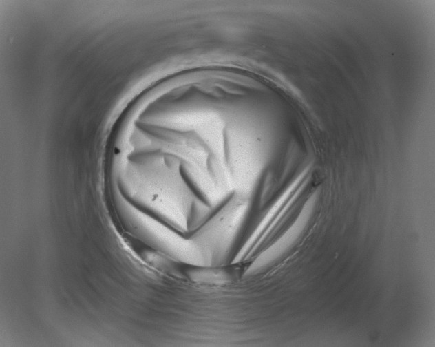 X0000080741512200701051131