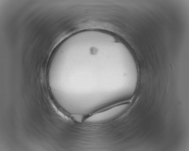 X0000080741513200701051131