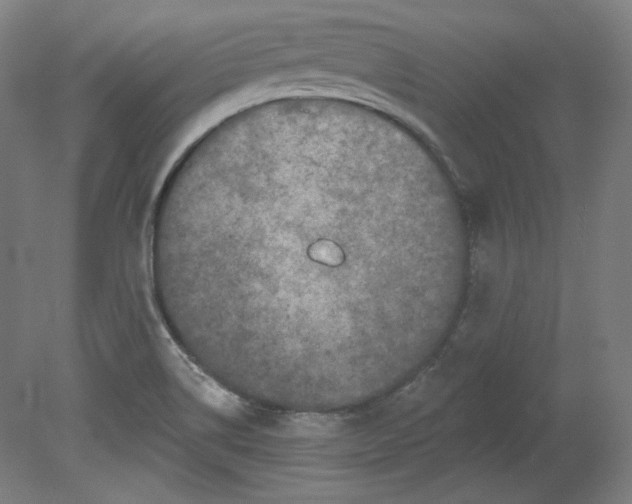 X0000080741514200701051131