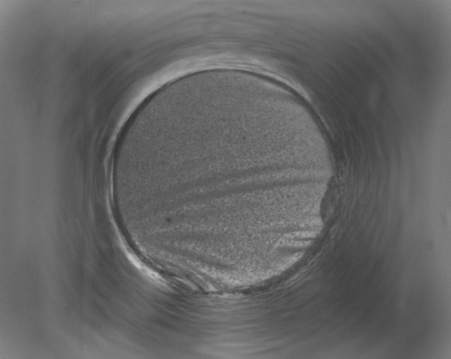 X0000080741515200701051131