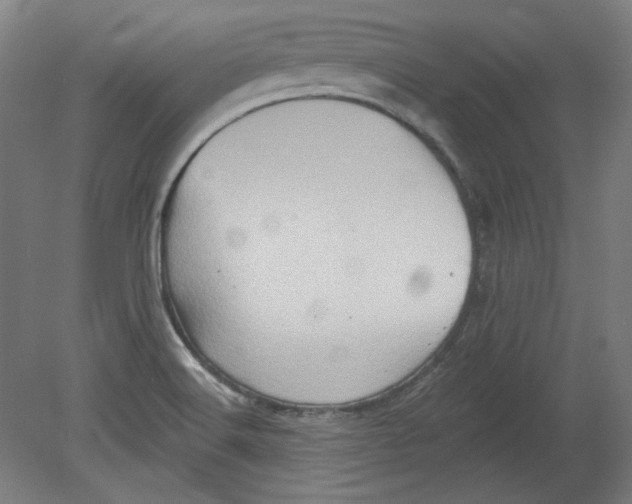 X0000080741516200701051131