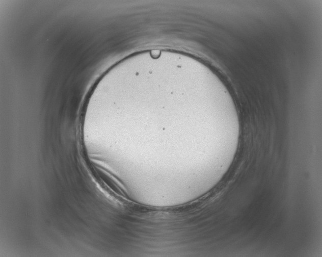 X0000080741517200701051131