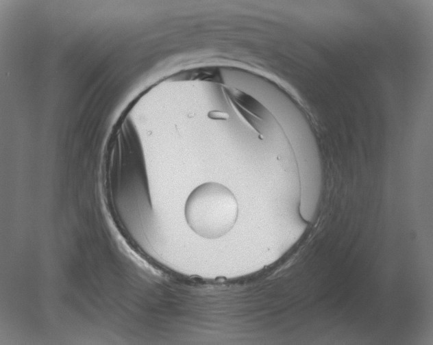 X0000080741518200701051131