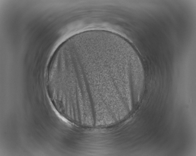 X0000080741519200701051131