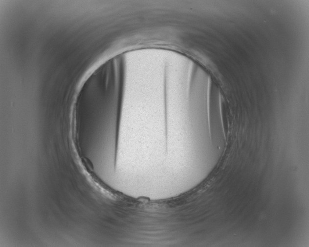 X0000080741520200701051131