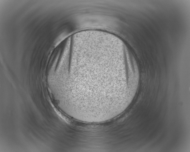 X0000080741521200701051131