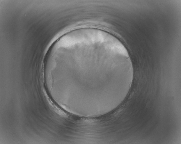 X0000080741522200701051131