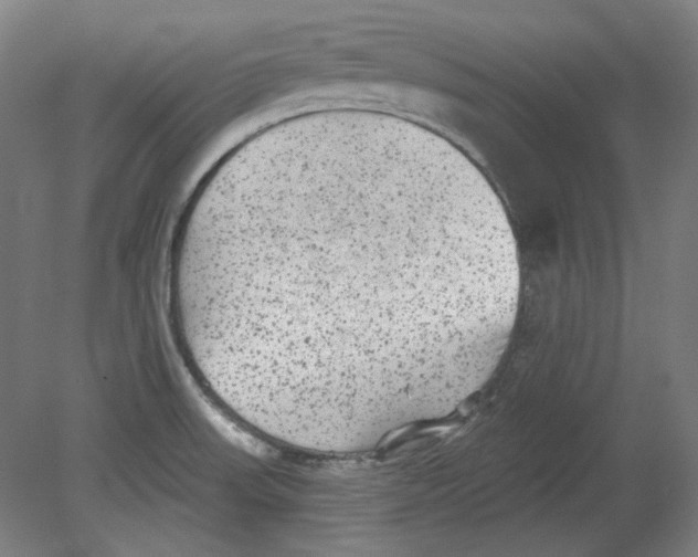 X0000080741523200701051131