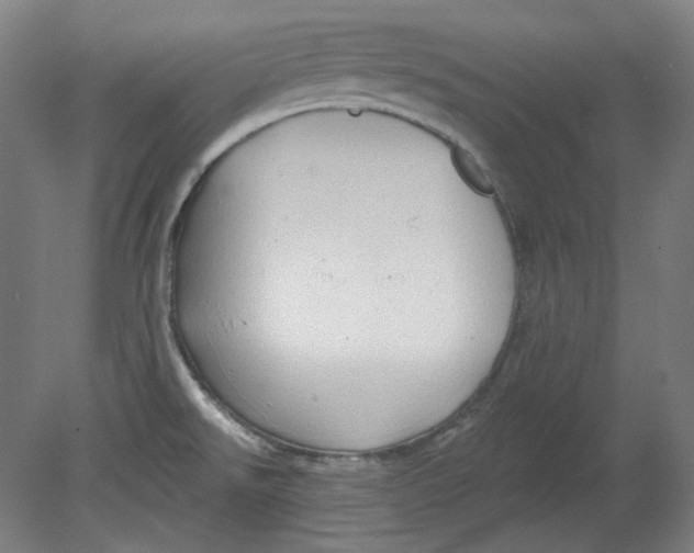 X0000080741526200701051131