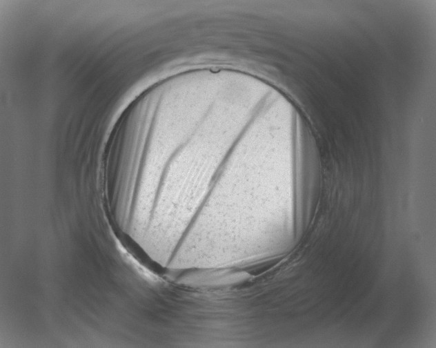 X0000080741527200701051131