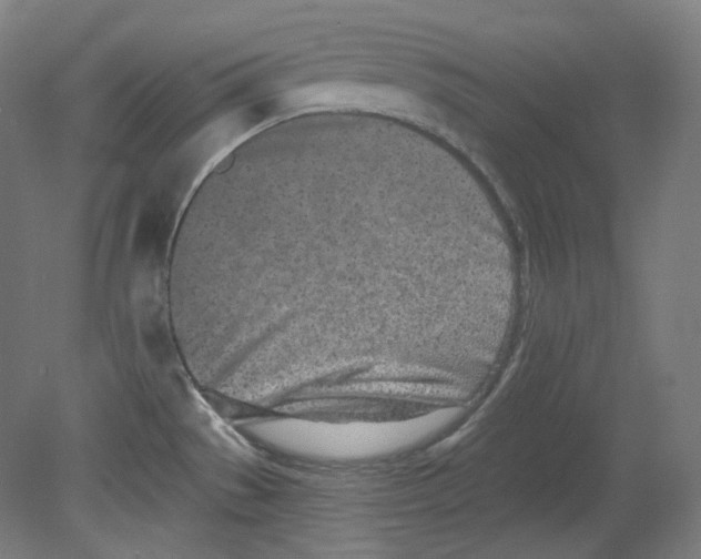 X0000080741529200701051131