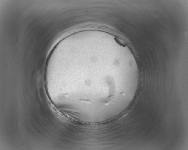 X0000080741530200701051131