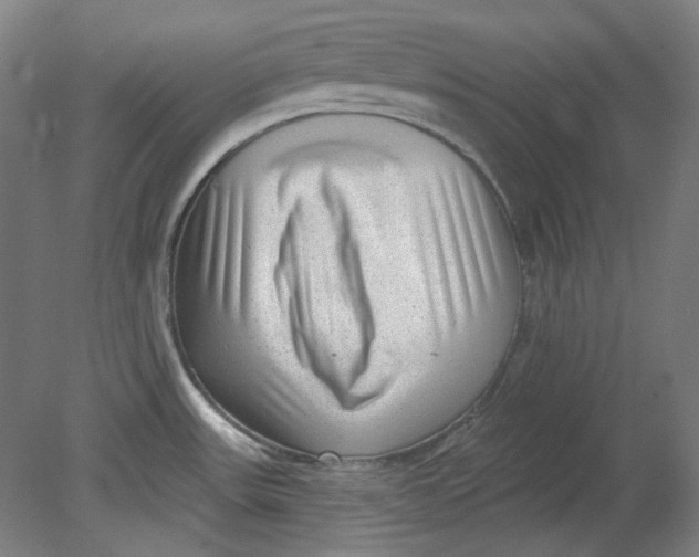 X0000080741531200701051131