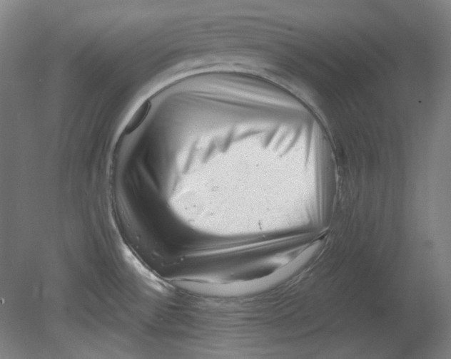 X0000080741532200701051131