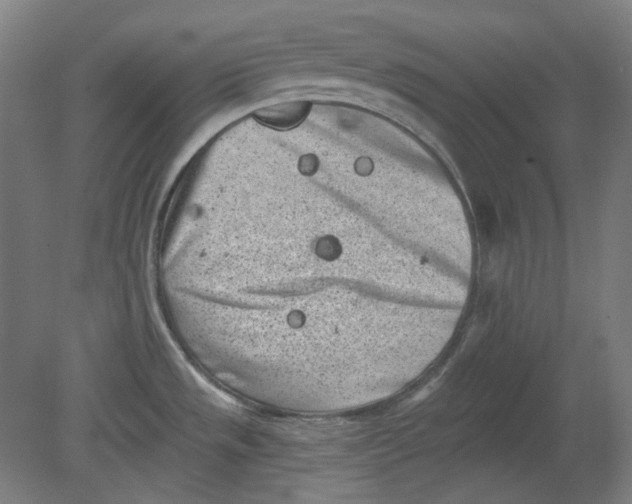 X0000080741533200701051131