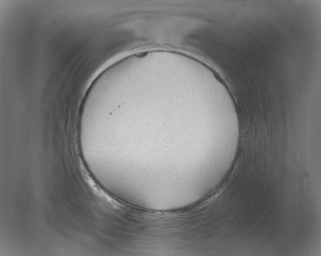 X0000080741534200701051131