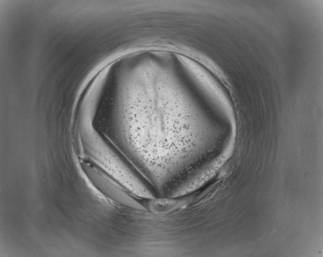 X0000080741536200701051131