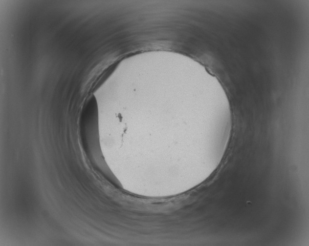 X0000080740001200701121949