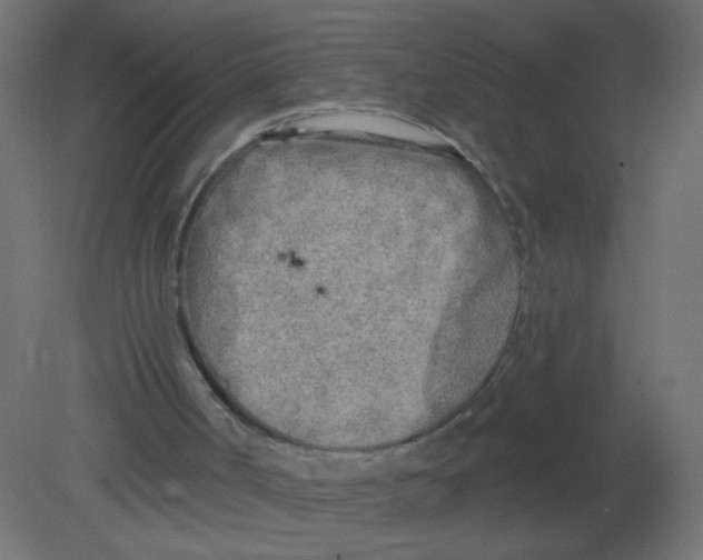 X0000080740002200701121949