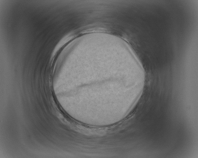 X0000080740004200701121949