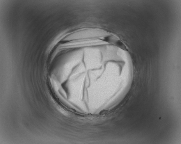 X0000080740005200701121949